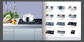 多麗精品廚具 電器與廚具衛(wèi)具的完美融合